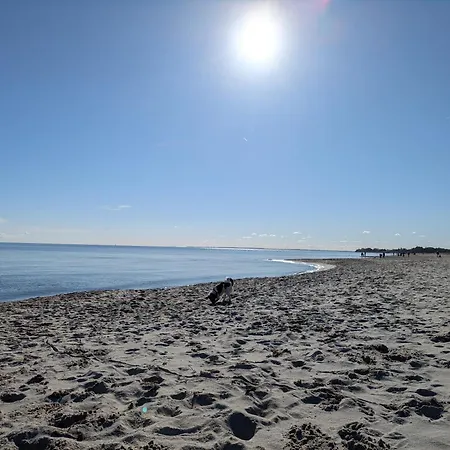 아파트 Waterkant, Loft Am Hafen Mit Traumblick Ueber Hafen, Schlei Und Ostsee *